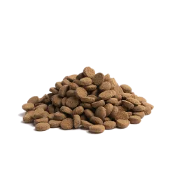 Older – Recette Ultra-Premium British Heritage chiens seniors