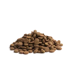 Contour – Recette Ultra-Premium British Heritage pour chiens toniques