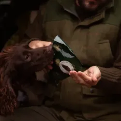 ESSENTIAL MOTIVATION DELIGHTS 500g