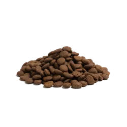 THE BEGINNING LARGE BREED 10Kg