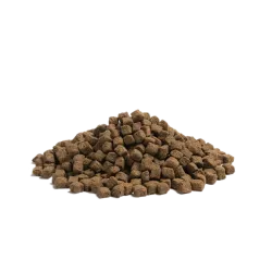 Lot de 3 Older – Recette Ultra-Premium British Heritage chiens seniors