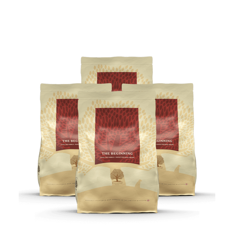 Lot de 3 x 2,5 THE BEGINNING PETIT CHIEN 2,5 Kg Lot de 3 x 2,5 THE BEGINNING PETIT CHIEN 2,5 Kg