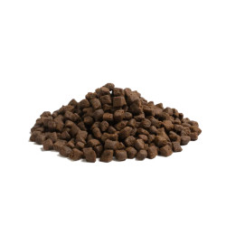Lot de 3 x 2,5 THE BEGINNING PETIT CHIEN 2,5 Kg