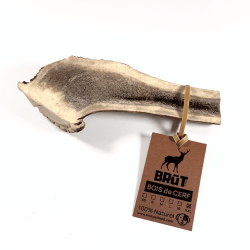 Bois de cerf fendu pour chien – 100 % naturel