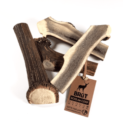 Bois de cerf fendu pour chien – 100 % naturel