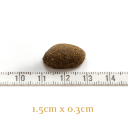 Croquettes Chien NAUTICAL LIVING 10KG – Saumon, Truite, Poisson Frais | Sans Céréales | ESSENTIAL FOODS