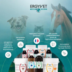 Ergyvet Articulaire Harpagophytum – Complément naturel articulations chien et chat