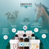 Ergyvet Articulaire Harpagophytum – Complément naturel articulations chien et chat