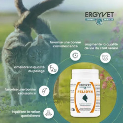 Ergyvet Felidyn 55g