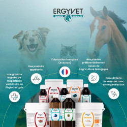 Ergyvet Permeadyn 70g