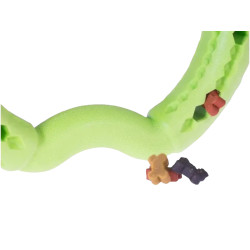 Jouet pour chien anneau Green Apple en TPR 21cm