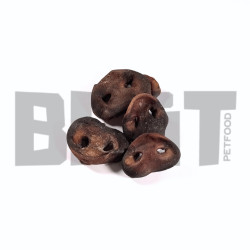Nez de Cochon Séché – Friandise pour chien-  Croquante et 100 % naturelle