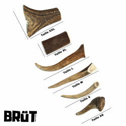 Bois de cerf entier pour chien, mastication longue durée