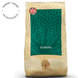 Stamina – Recette Ultra-Premium British Heritage énergie & performance