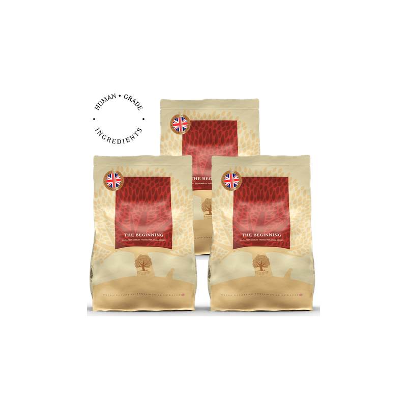 Lot de 3 Beginning – Recette Ultra-Premium British Heritage chiot