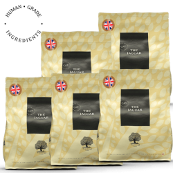 LOT DE 5 THE JAGUAR – Recette Ultra-Premium British Heritage multi protéines