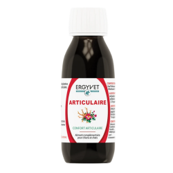 Ergyvet Articulaire Harpagophytum – Complément naturel articulations chien et chat