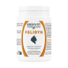 Ergyvet Felidyn 55g
