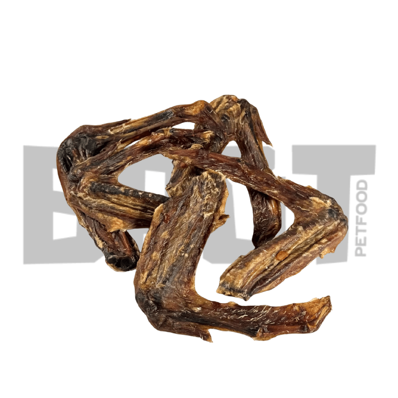 Ailes de canard séchées pour chien – Friandise naturelle croustillante