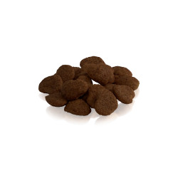 THE GENTLE GIANT – Friandises naturelles au saumon pour chats | ESSENTIAL FOODS