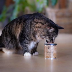 THE GOLDEN GHOST – Friandises croustillantes à la dinde pour chats | ESSENTIAL FOODS