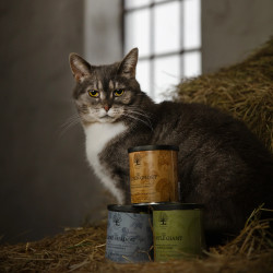 THE GOLDEN GHOST – Friandises croustillantes à la dinde pour chats | ESSENTIAL FOODS