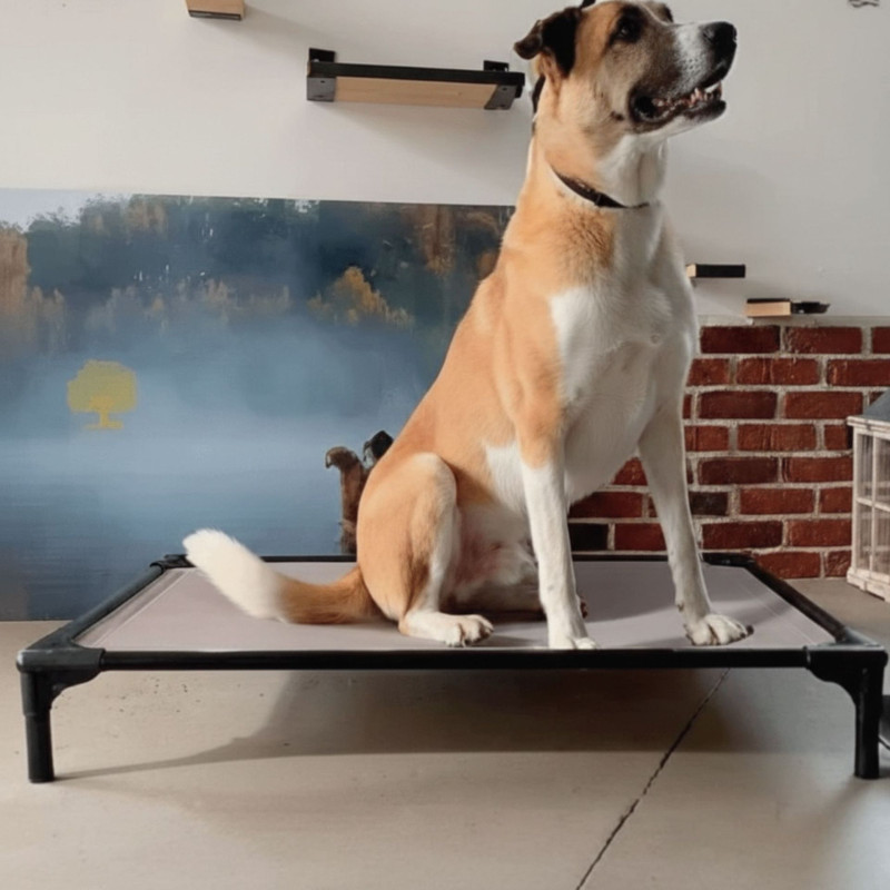 DOG BED MEDIUM 79 Cm X 54 Cm - Couchage pour chien