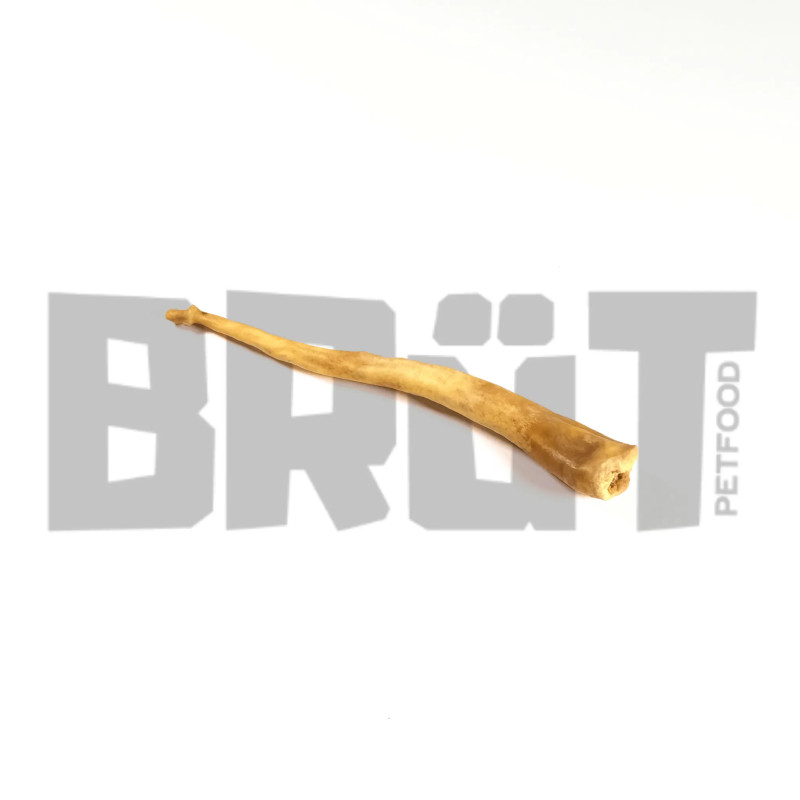 Queue d’agneau séchée pour chien – Friandise naturelle et savoureuse