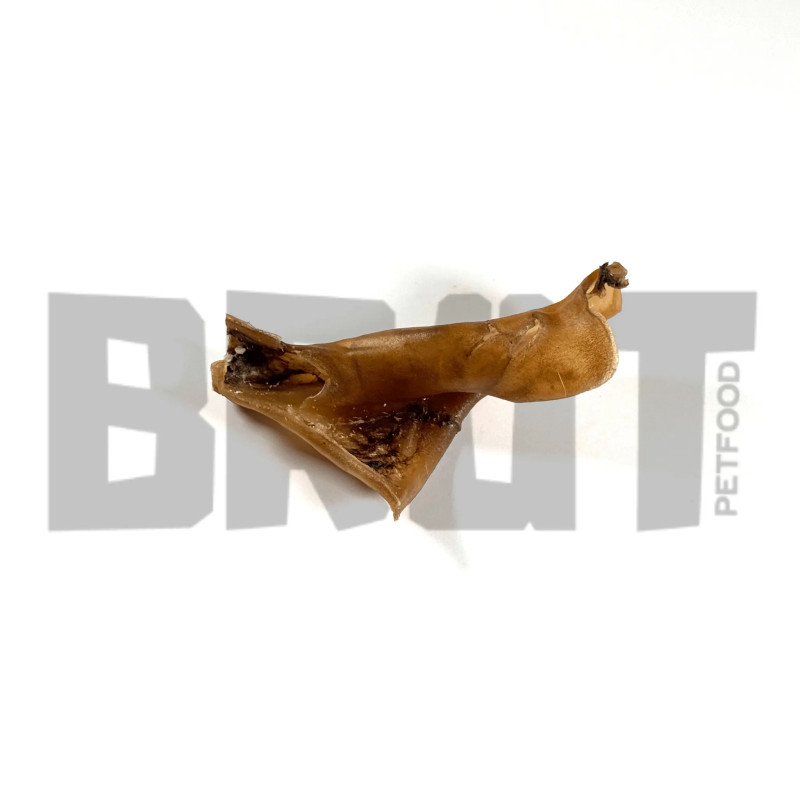 Peau de Chameau 15cm -friandise pour chien 100 % Naturelle