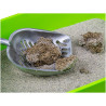 Litière Chat Vadigran Bentonite Babypowder 12 kg-12L