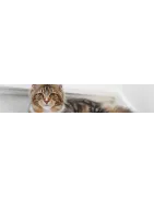 Compléments naturels pour votre chat: Foie, transit, digestion, obésité