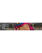 Laisses, colliers, harnais